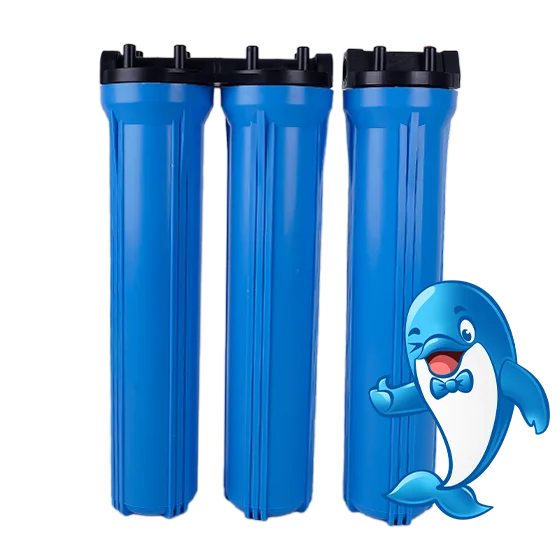 Nuonuo is standing next to 3 commercial filter housings.