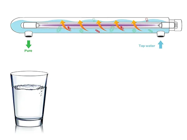 Water sterilized by the UV sterilizer flows into a glass cup.