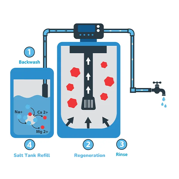 Diagram of Water Softener Regeneration Principle